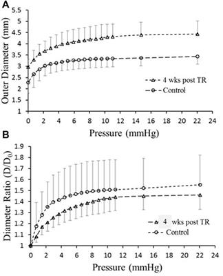 Changes of thoracic duct flow and morphology in an animal model of elevated central venous pressure